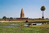 Khajuraho - Javari temple 